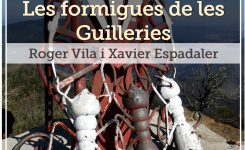 Un estudi de les formigues de les Guilleries guanya el VII Premi de Recerca Guilleries